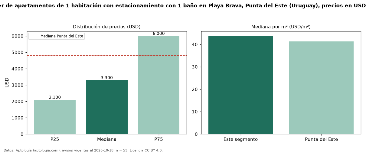 Precio de alquiler de apartamentos de 1 habitación con estacionamiento con 1 baño en Playa Brava, Punta del Este (Uruguay), precios en USD — octubre 2026